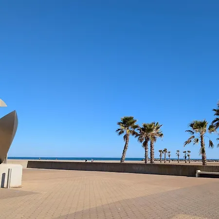Meuble De Tourisme 3 Etoiles Cap Horn, Vue Mer, Parking Prive, A 50m Daire Valras-Plage
